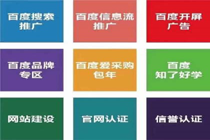 SEM外包公司案例：助力企业拓展海外市场