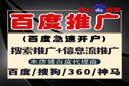 某行业巨头背后的SEM代运营服务公司